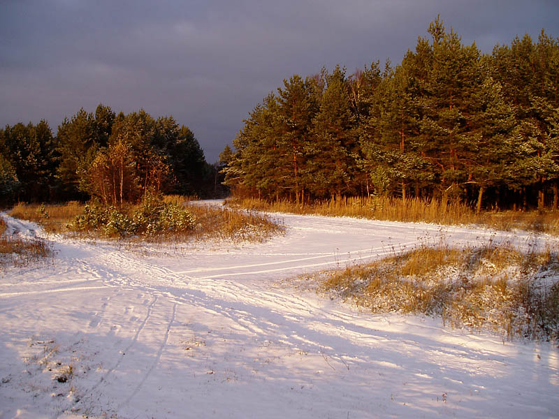 фото "Дорога" метки: пейзаж, зима