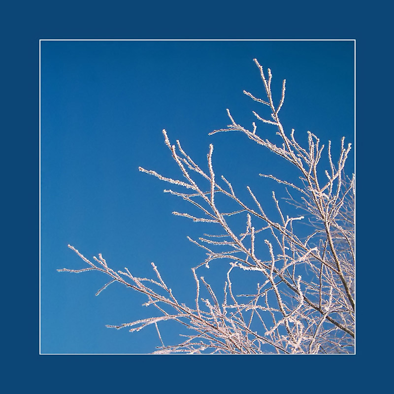 photo "Dark blue square" tags: landscape, nature, winter