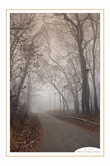 photo "Autumn road." tags: landscape, autumn, forest