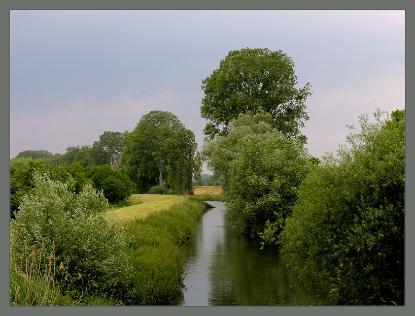 photo "Before a thunder-storm" tags: misc., 