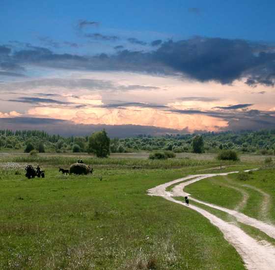 photo "Little escort" tags: landscape, clouds, summer