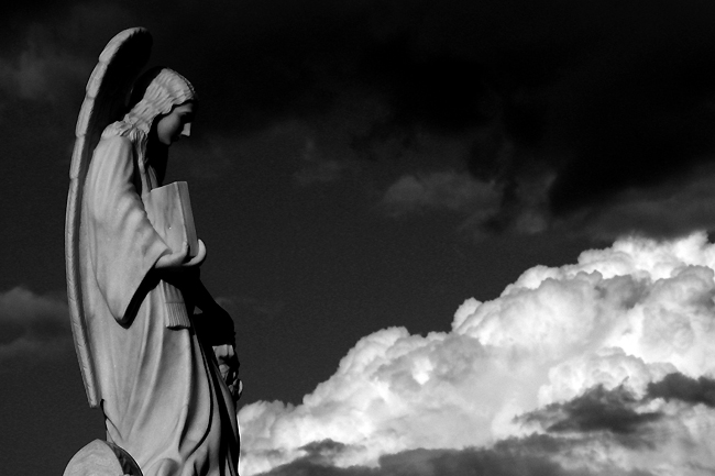 photo "guardian" tags: black&white, 