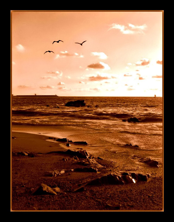 фото "just before spring" метки: пейзаж, вода