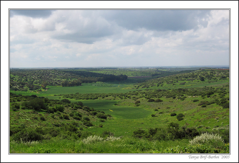 photo "Beit Gurvin - Maresha" tags: landscape, nature, spring