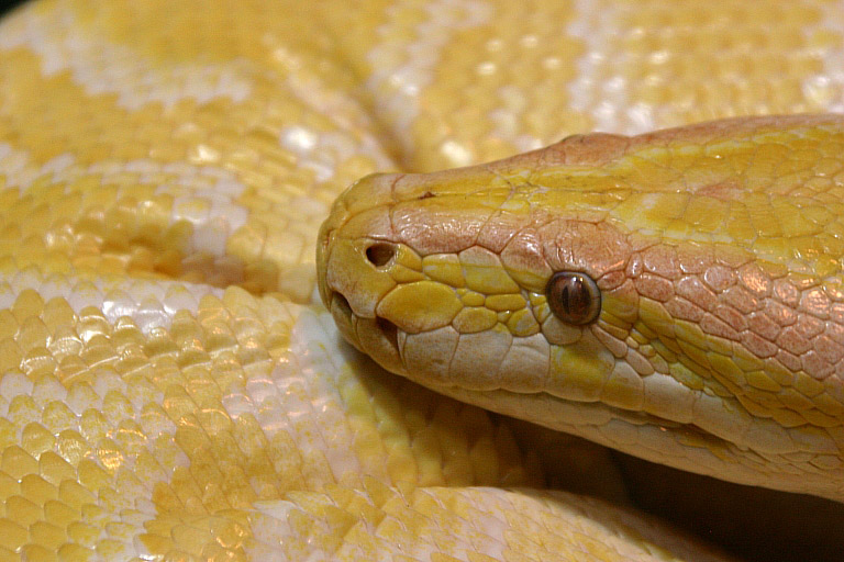 photo "ssssst  is&#180;nt she sexy ?" tags: misc., 