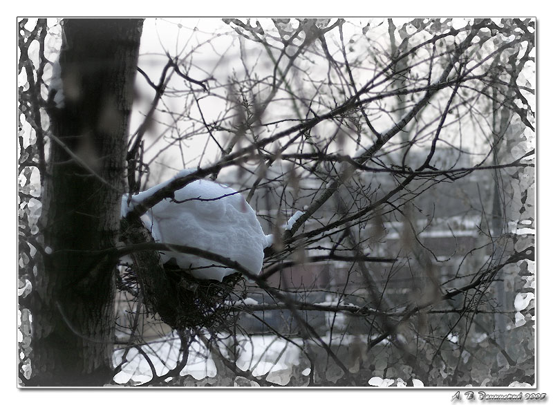 фото "Последний привет уходящей Зимы." метки: природа, пейзаж, зима
