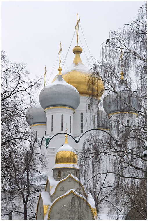 фото "Новодевичий монастырь" метки: архитектура, пейзаж, 