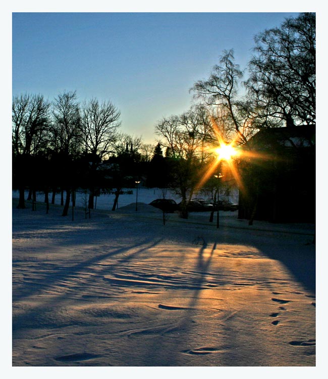 фото "Winter sun" метки: пейзаж, зима