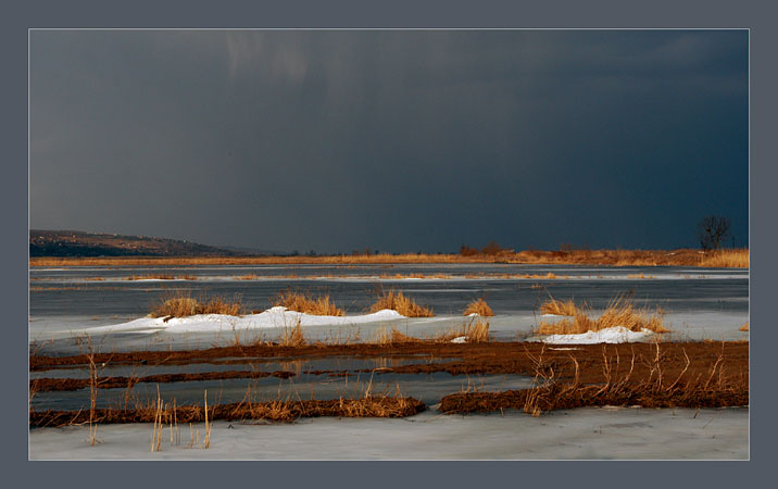 фото "Весна идет" метки: природа, 