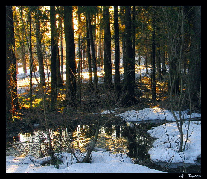 photo "Not for long to wait already remains." tags: landscape, forest, spring