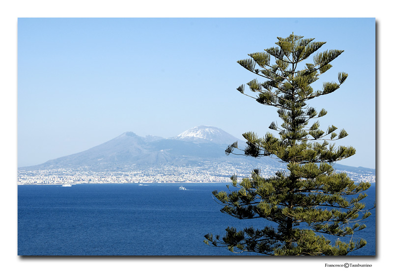 photo "Tree and gulf" tags: landscape, travel, Europe