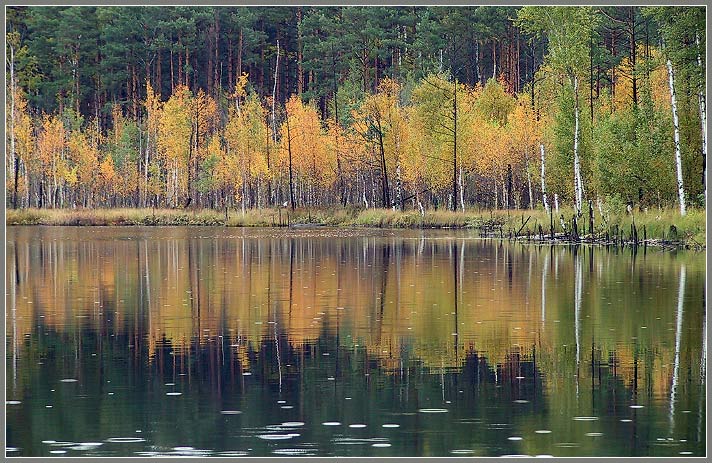 фото "Золотая но грустная осень" метки: пейзаж, вода, закат
