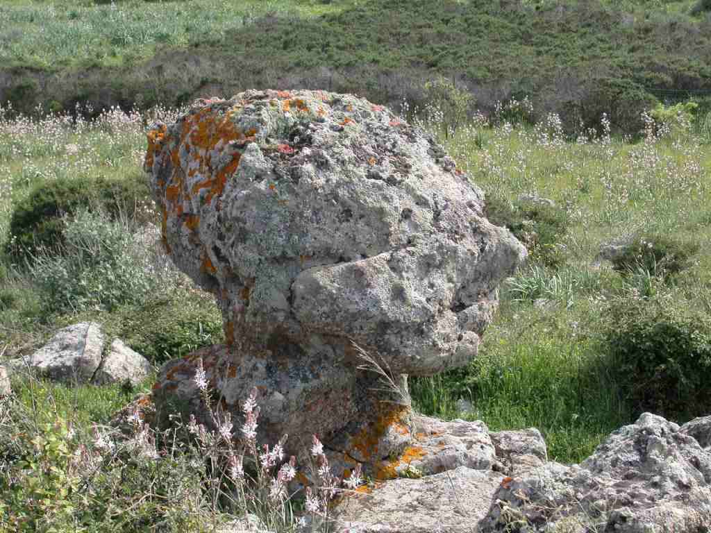 photo "The stone Head" tags: nature, portrait, woman