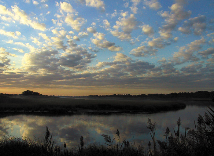 фото "Morning" метки: пейзаж, лето