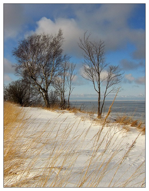 фото "У самого краешка" метки: пейзаж, природа, зима