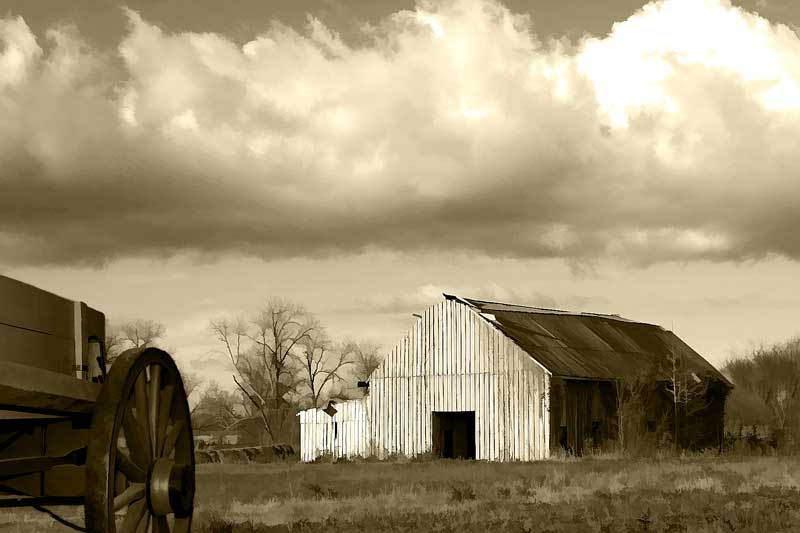 photo "Old Alabama Barn" tags: landscape, 