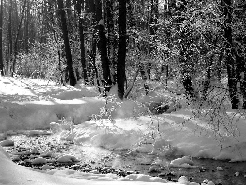 photo "Russian winter" tags: black&white, 