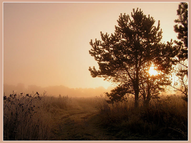 фото "Утро" метки: пейзаж, закат