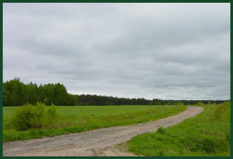 photo "Turns" tags: landscape, clouds, forest