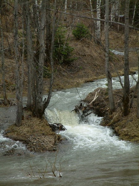 photo "The spring flows" tags: misc., 