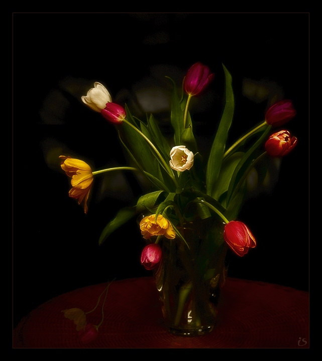 photo "just still-life" tags: still life, 