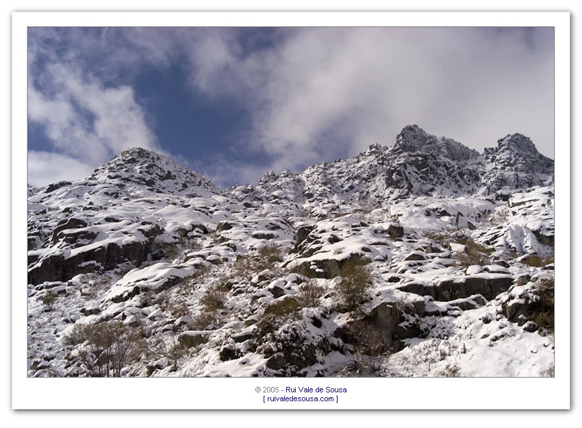 фото "snow mont" метки: разное, 