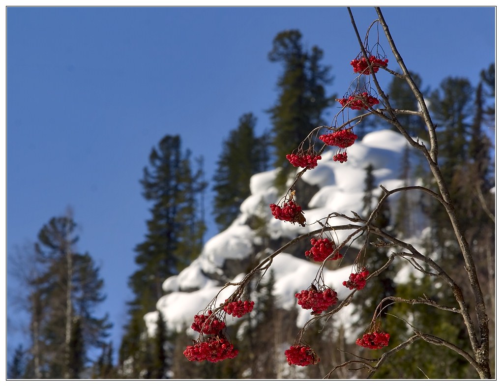 photo "winter day" tags: landscape, mountains, winter