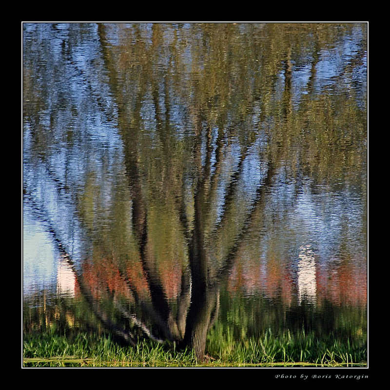 photo "Recalling Monet" tags: landscape, abstract, summer