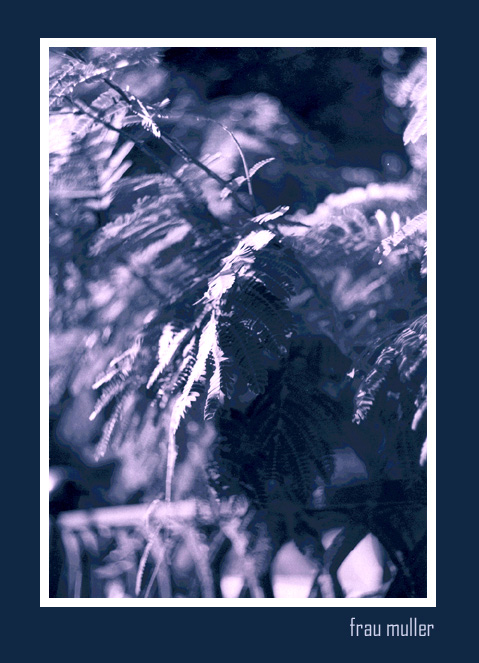 photo "Unreal" tags: black&white, nature, 