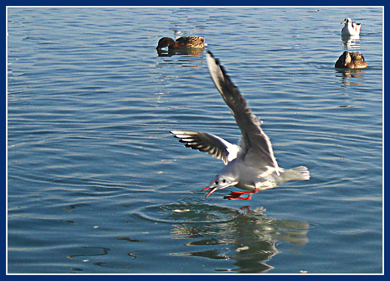 photo "The moment" tags: misc., 