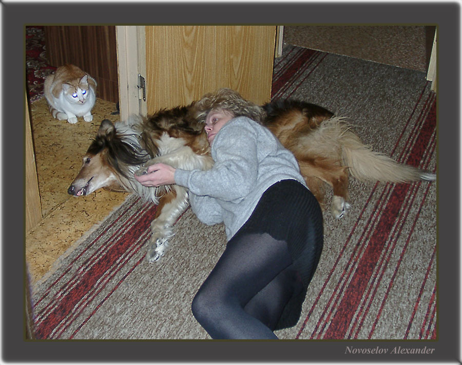 photo "Rest after work" tags: misc., 