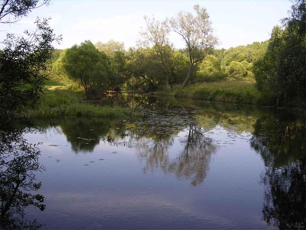 photo "silent summer evening" tags: landscape, summer, water