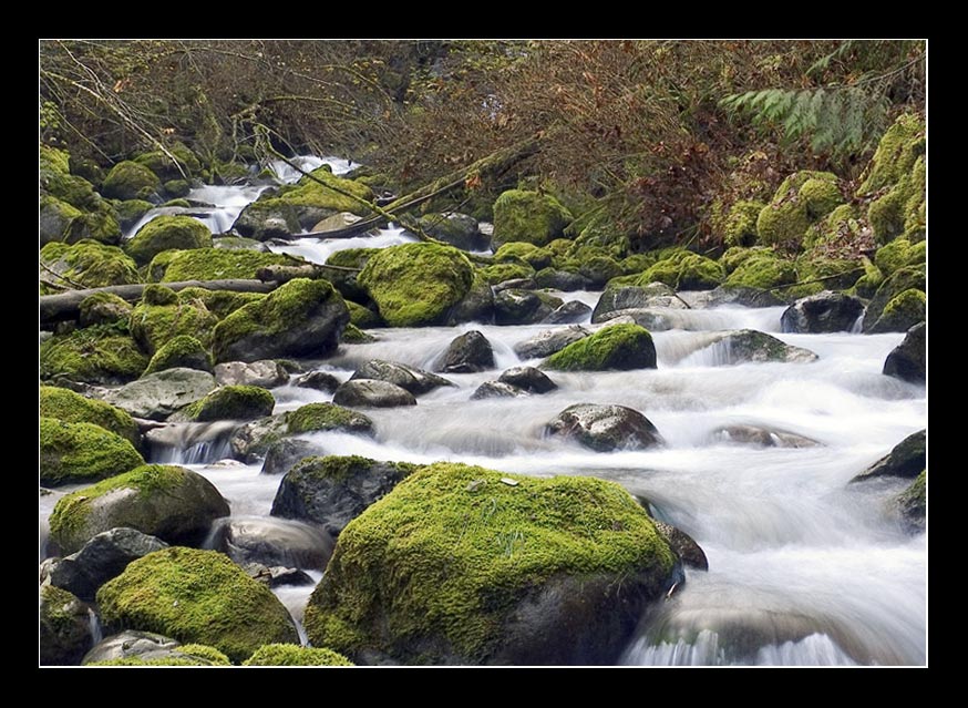 фото "river of no return" метки: пейзаж, вода, лес