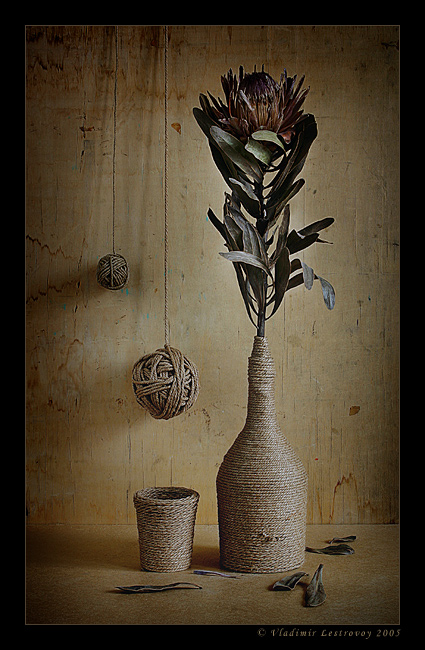 photo "***" tags: still life, 