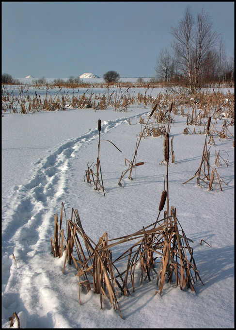 photo "11-00" tags: landscape, winter
