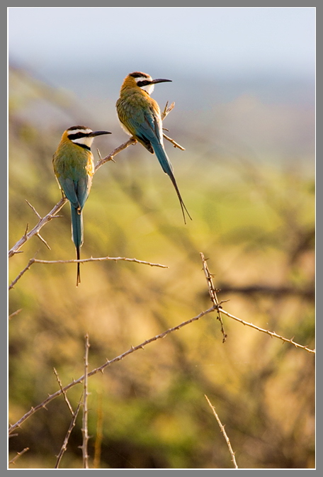 photo "Sunrise" tags: travel, Africa