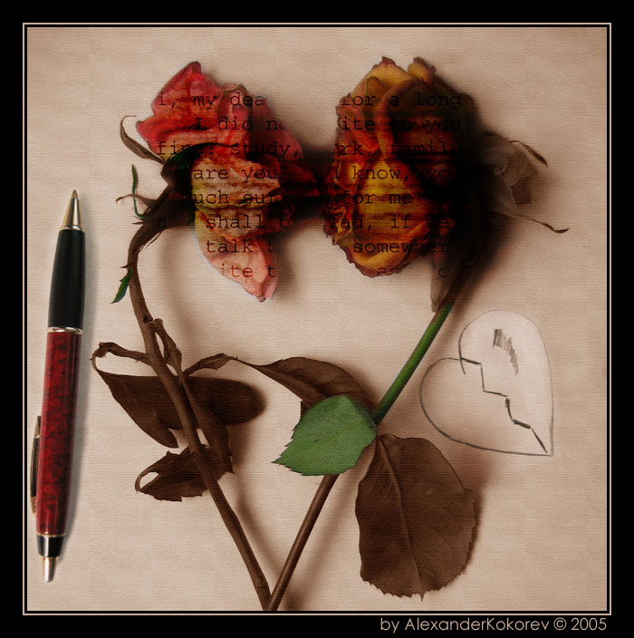photo "Unfortunate love" tags: montage, reporting, 