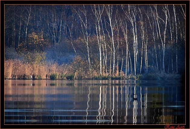 photo "De Maten 2 Genk Belgium" tags: landscape, sunset, water