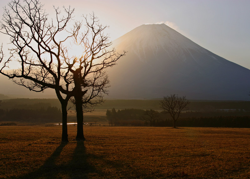 photo "Mountain with Tree and Sun" tags: landscape, mountains, sunset