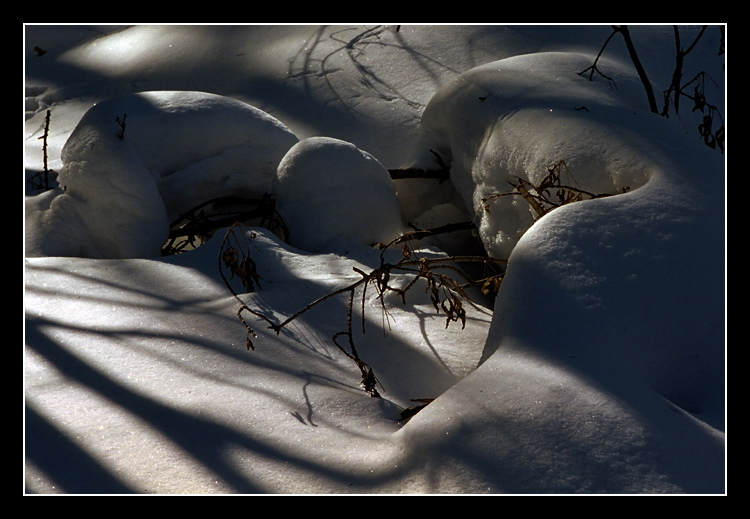 photo "Light and shadow 2" tags: landscape, forest, winter
