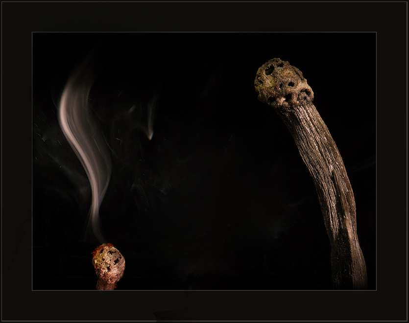 photo "from a life of matches: i burn, I all in taste - p" tags: macro and close-up, genre, 