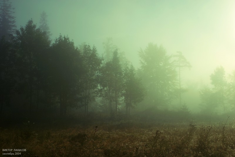фото "Утро туманное" метки: пейзаж, закат, лето