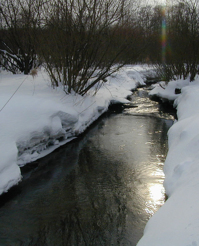 photo "Some sun in a cold water" tags: landscape, winter