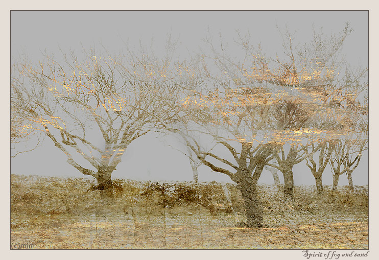 photo "Spirit of fog and sand" tags: montage, landscape, forest