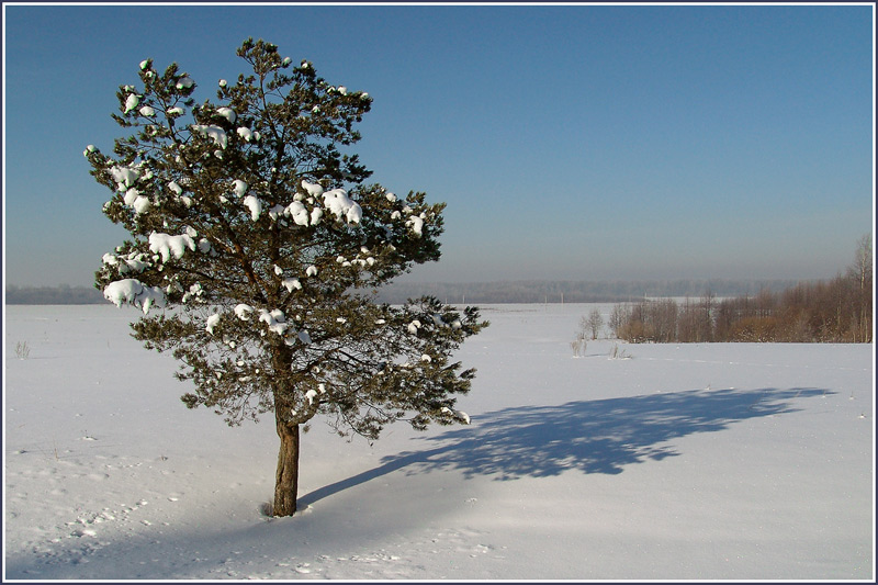 photo "March morning" tags: landscape, sunset