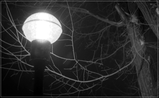 photo "Glowworm" tags: landscape, black&white, night