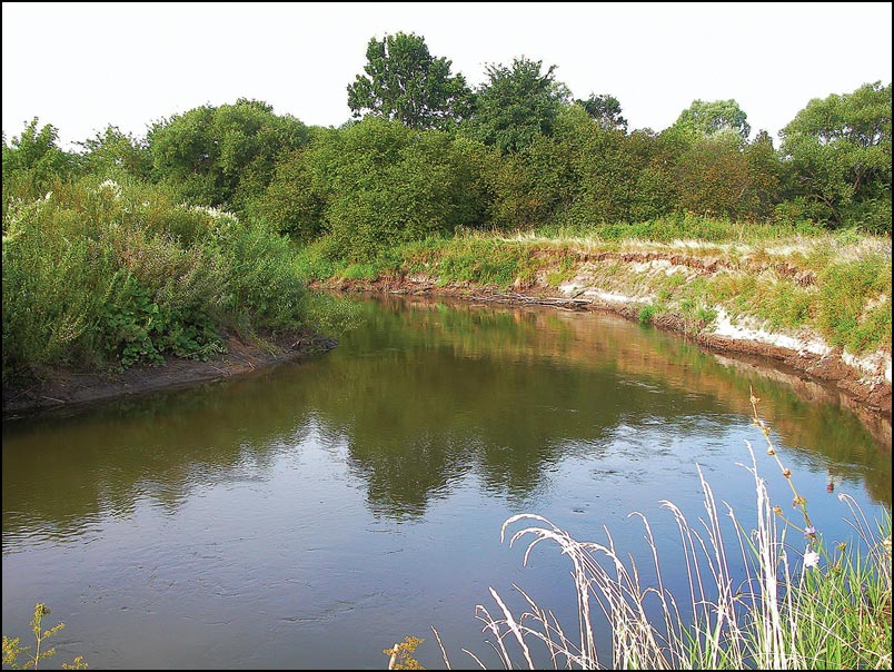 photo "Current smooth the rivers" tags: landscape, summer, water