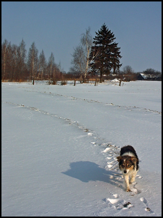 photo "12-00" tags: landscape, winter