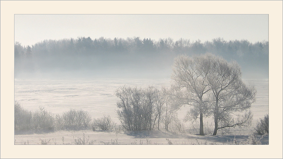 фото "Утренняя дымка" метки: пейзаж, зима, лес