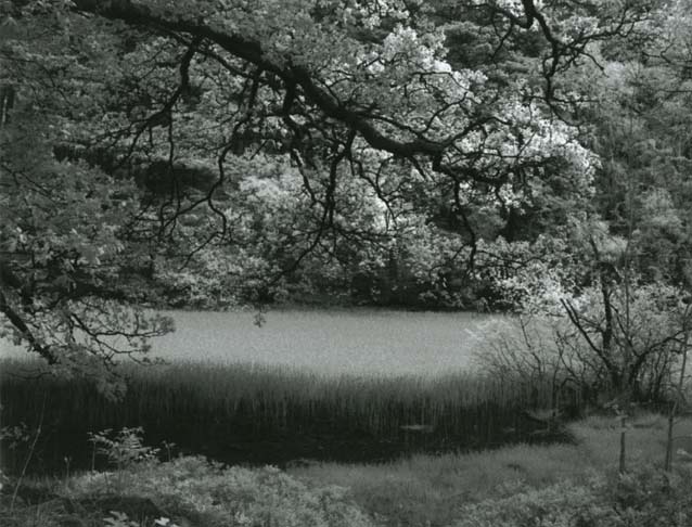 photo "The Lake" tags: landscape, water